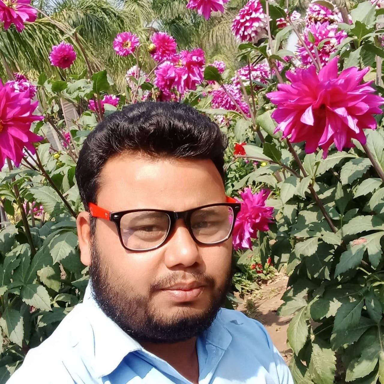 Teacher